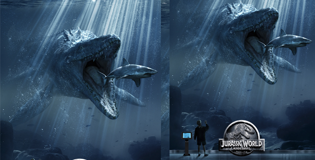 Fotos archivo EL HERALDO