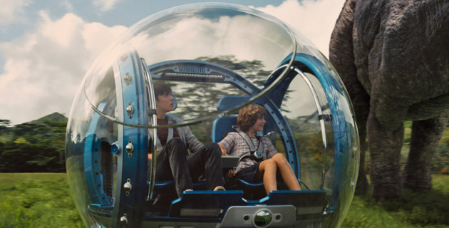 Fotos archivo EL HERALDO