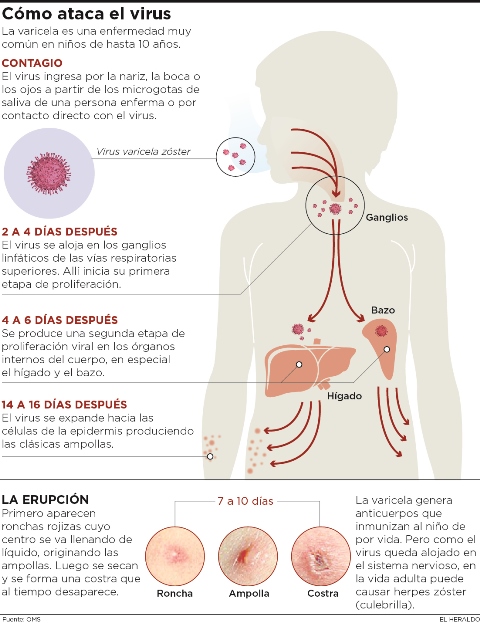 Fotos archivo EL HERALDO