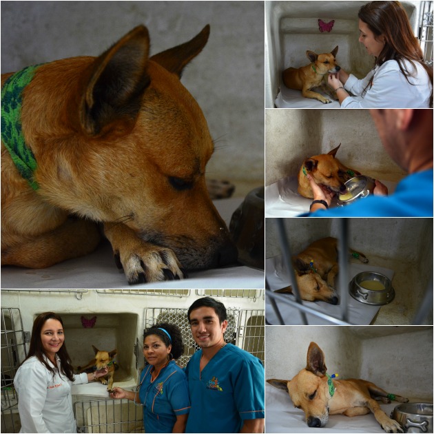 Fotos archivo EL HERALDO