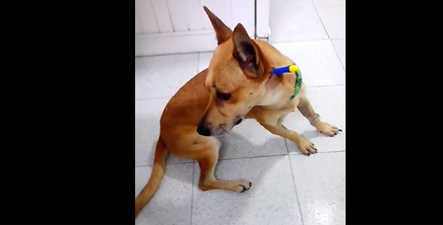 Fotos archivo EL HERALDO