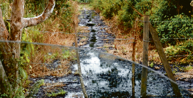 Fotos archivo EL HERALDO