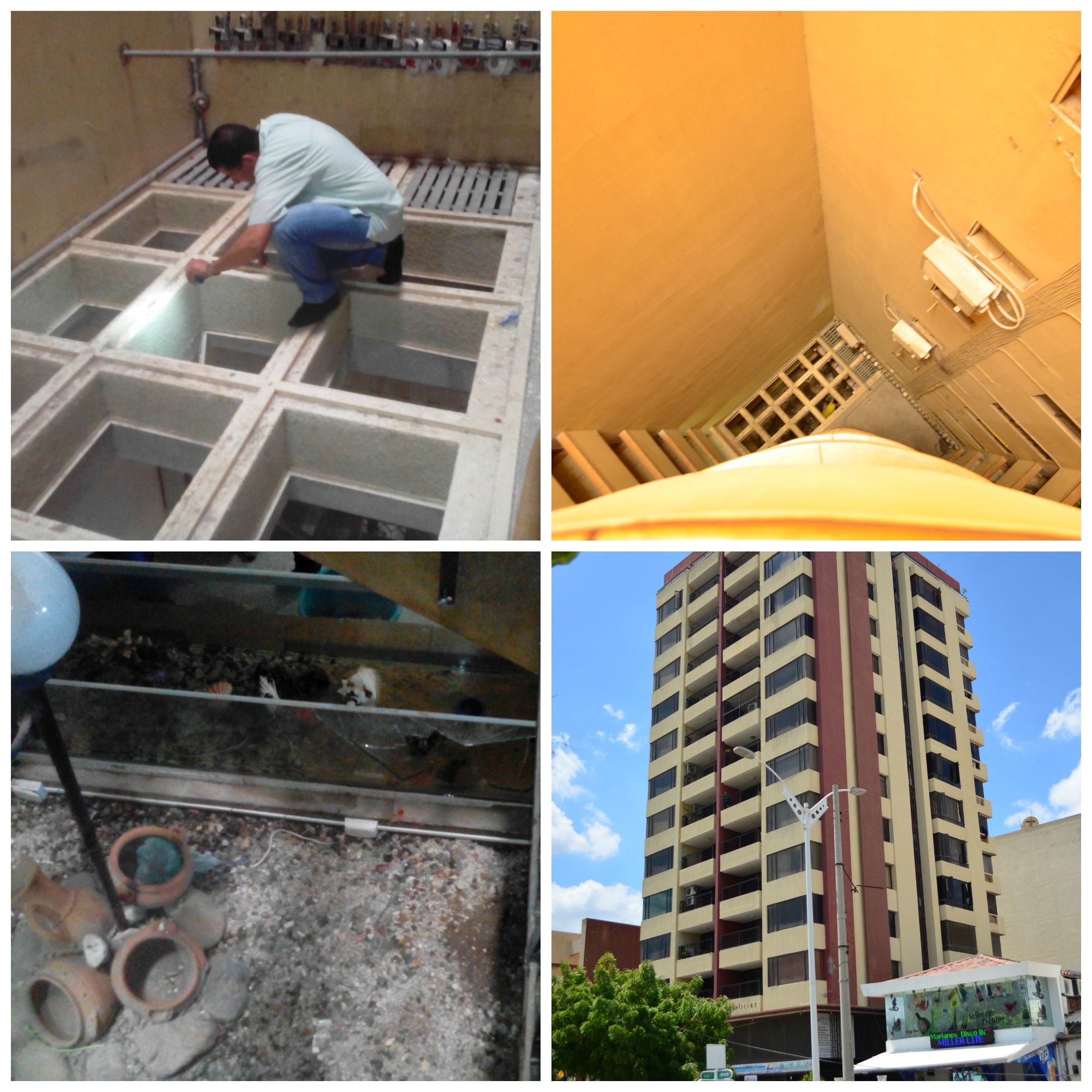 Fotos archivo EL HERALDO