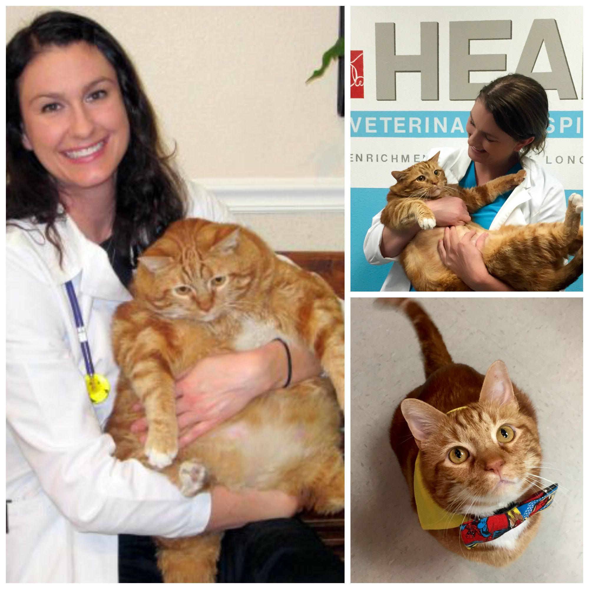 Fotos archivo EL HERALDO