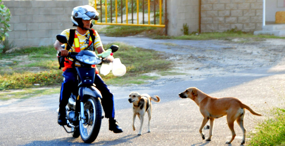 Fotos archivo EL HERALDO