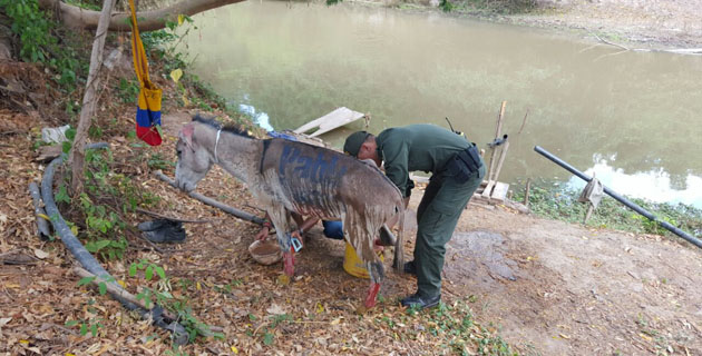 Fotos archivo EL HERALDO