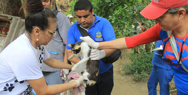 Fotos archivo EL HERALDO