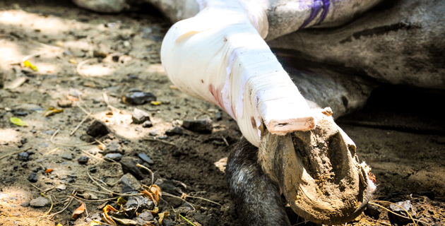 Fotos archivo EL HERALDO