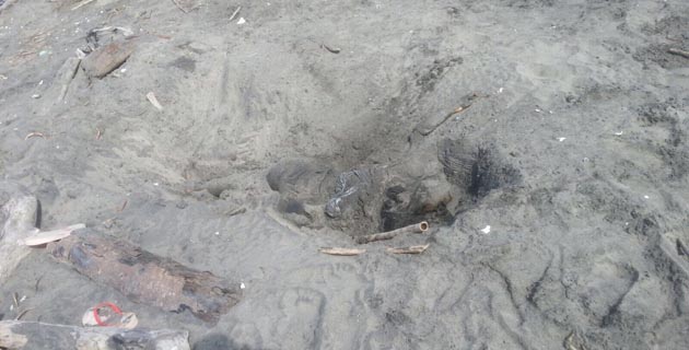 Fotos archivo EL HERALDO