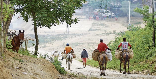 Fotos archivo EL HERALDO