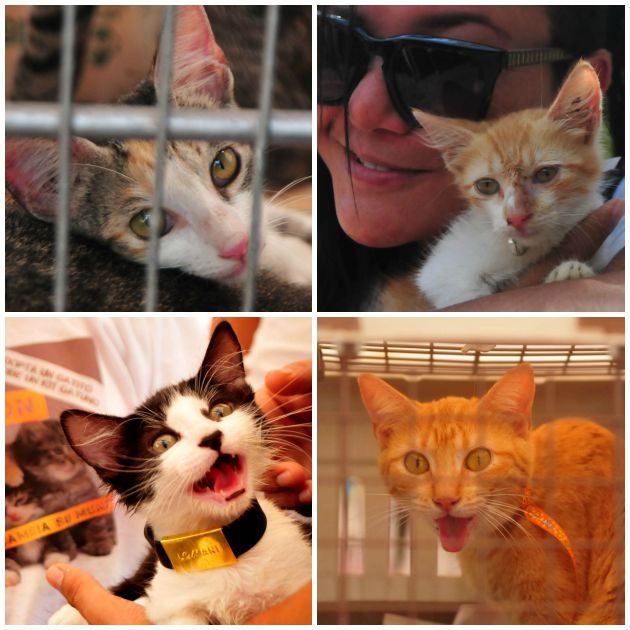 Fotos archivo EL HERALDO