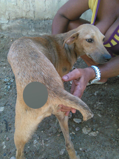 Fotos archivo EL HERALDO