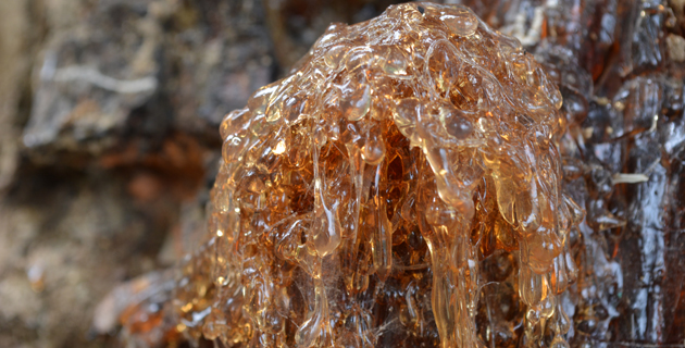 Fotos archivo EL HERALDO