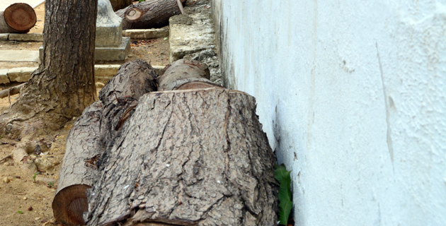 Fotos archivo EL HERALDO