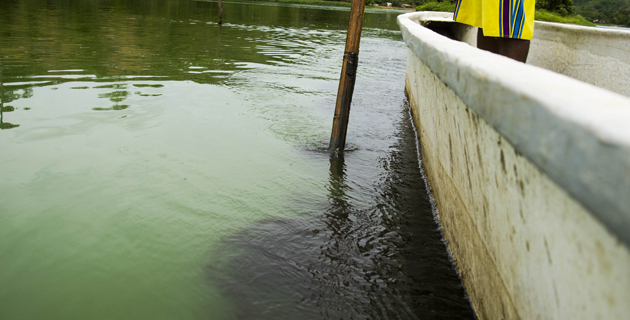 Fotos archivo EL HERALDO