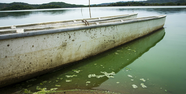 Fotos archivo EL HERALDO