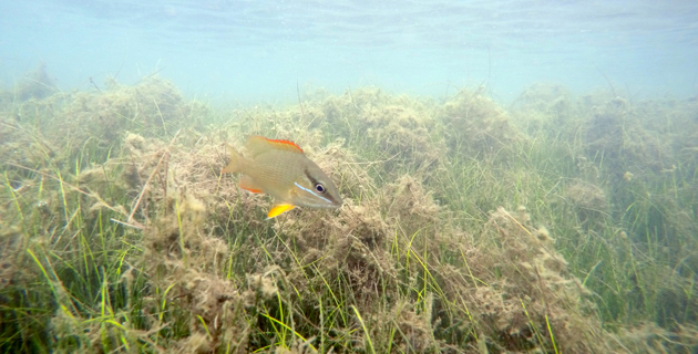 Fotos archivo EL HERALDO