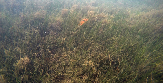 Fotos archivo EL HERALDO