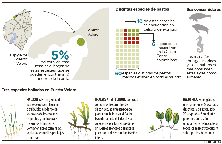 Fotos archivo EL HERALDO