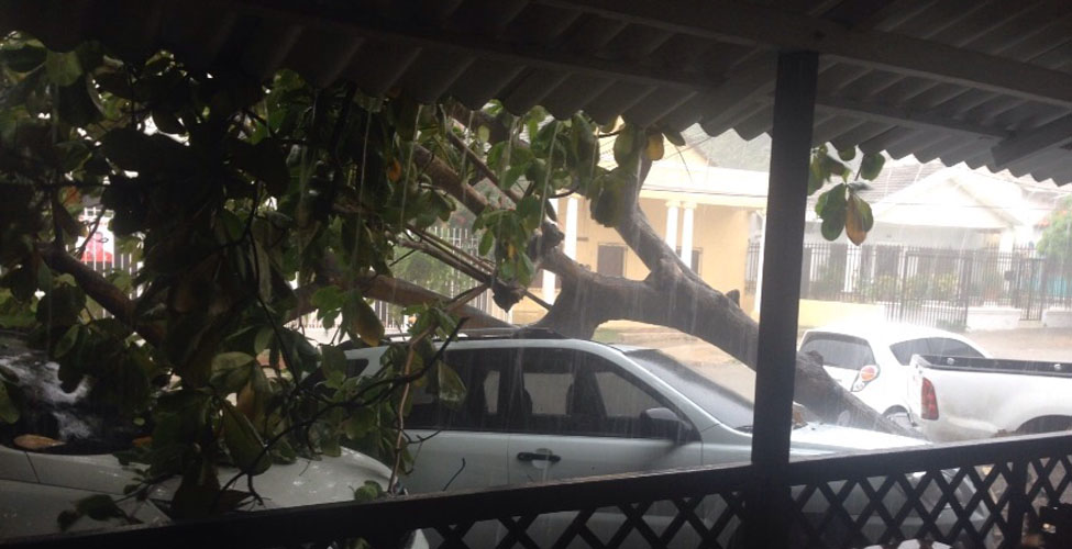 Fotos archivo EL HERALDO