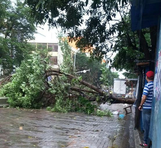 Fotos archivo EL HERALDO