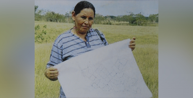 Fotos archivo EL HERALDO