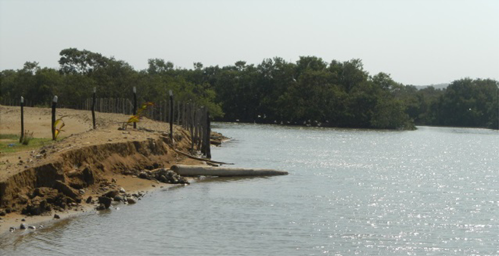 Fotos archivo EL HERALDO