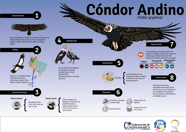 Fotos archivo EL HERALDO