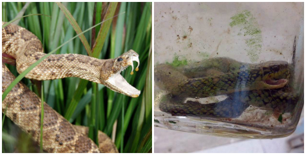 Fotos archivo EL HERALDO