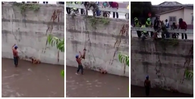 Fotos archivo EL HERALDO