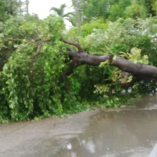 Fotos archivo EL HERALDO