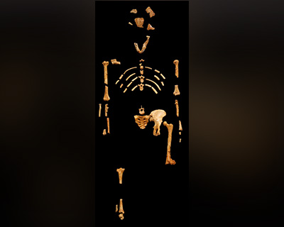 Fotos archivo EL HERALDO