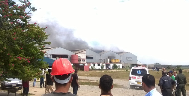 Fotos archivo EL HERALDO