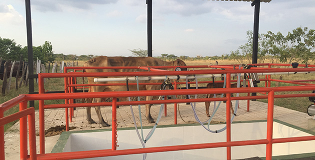 Fotos archivo EL HERALDO