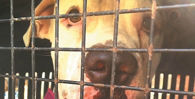 Fotos archivo EL HERALDO