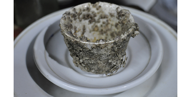 Fotos archivo EL HERALDO