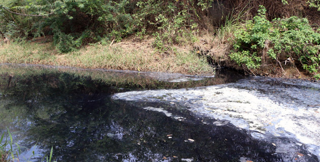 Fotos archivo EL HERALDO