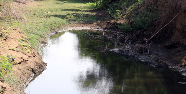 Fotos archivo EL HERALDO