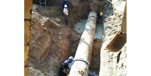 Fotos archivo EL HERALDO