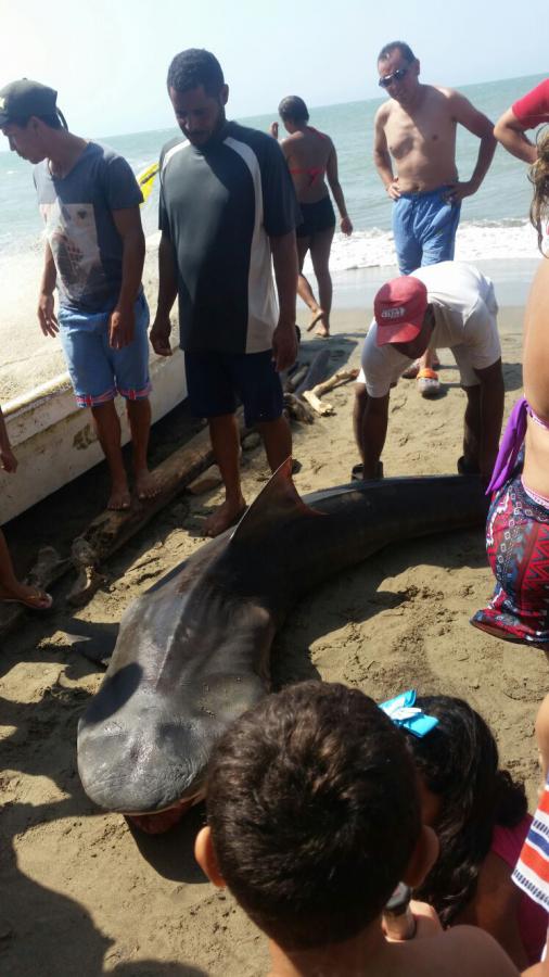 Fotos archivo EL HERALDO