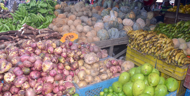 Fotos archivo EL HERALDO