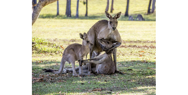 Fotos archivo EL HERALDO