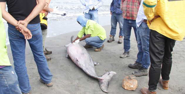 Fotos archivo EL HERALDO