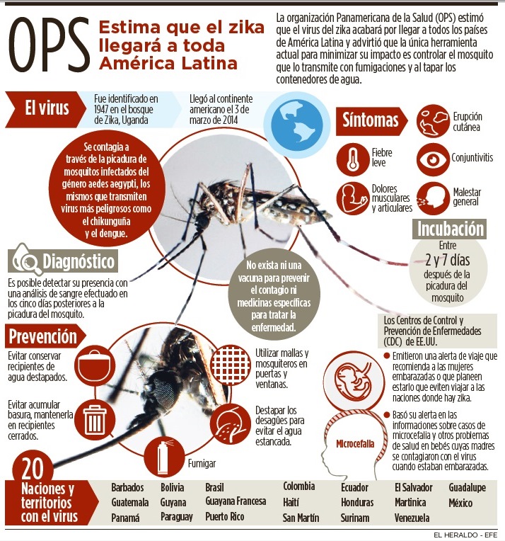 Fotos archivo EL HERALDO