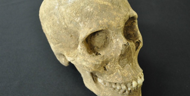 Fotos archivo EL HERALDO