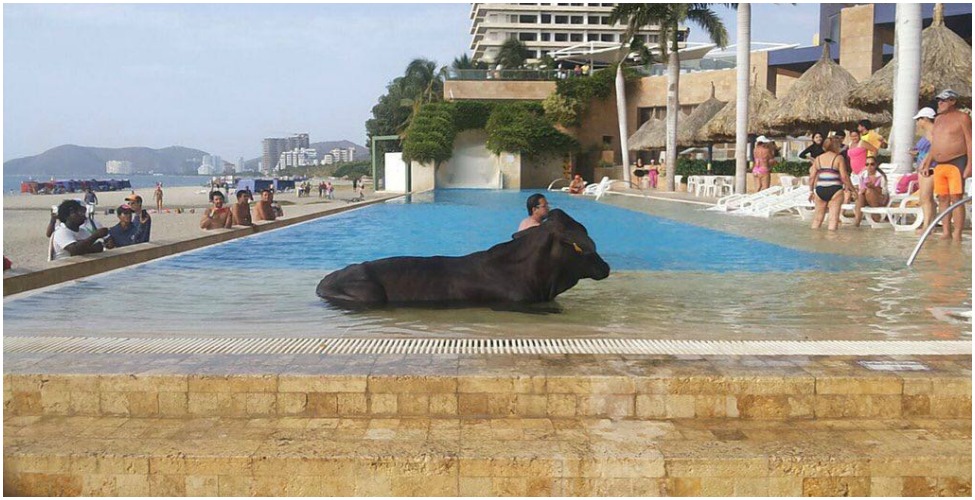 Fotos archivo EL HERALDO