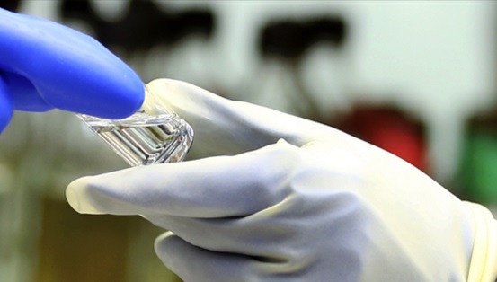 Fotos archivo EL HERALDO