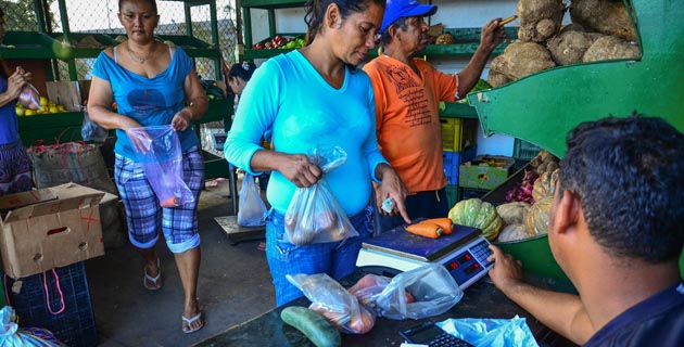 Fotos archivo EL HERALDO