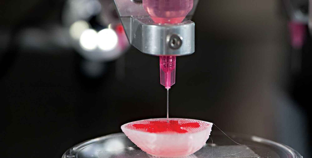 Fotos archivo EL HERALDO