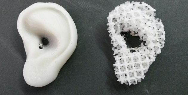 Fotos archivo EL HERALDO